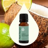 image:imagePlant Therapy Lime in The Coconut Essential Oil Blend 10 mL 13 oz
