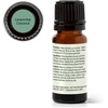 image:imagePlant Therapy Lime in The Coconut Essential Oil Blend 10 mL 13 oz