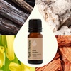 image:imagePlant Therapy Love Vanilla Essential Oil Blend 10 mL 13 oz 100 Pure Undiluted Aromatherapy Create a Romantic Mood Sweet amp Sultry Aroma