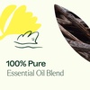 image:imagePlant Therapy Love Vanilla Essential Oil Blend 10 mL 13 oz 100 Pure Undiluted Aromatherapy Create a Romantic Mood Sweet amp Sultry Aroma