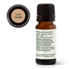 image:imagePlant Therapy Love Vanilla Essential Oil Blend 10 mL 13 oz 100 Pure Undiluted Aromatherapy Create a Romantic Mood Sweet amp Sultry Aroma