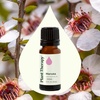 image:imagePlant Therapy Manuka Essential Oil 10 mL 13 oz 100 Pure Undiluted Soothing Relief for Skin Blemishes and Respiratory Irritation