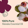 image:imagePlant Therapy Manuka Essential Oil 10 mL 13 oz 100 Pure Undiluted Soothing Relief for Skin Blemishes and Respiratory Irritation
