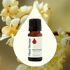 image:imagePlant Therapy May Chang Essential Oil 10 mL 13 oz 100 Pure Undiluted Litsea Cubeba Aromatherapy Clear Skin Energy and Digestion Support
