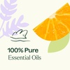 image:imagePlant Therapy Meditation Essential Oil Blend 10 mL 13 oz 100 Pure Undiluted Calming Aromatherapy for Yoga Mediation and Self Care