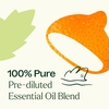 image:imagePlant Therapy Motion Sickness Essential Oil Blend PreDiluted RollOn 10 mL 13 oz Helps Ease MotionRelated Discomfort Great for Road Trips amp Flights Convenient amp Ready to Use