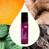 image:imagePlant Therapy Motion Sickness Essential Oil Blend PreDiluted RollOn 10 mL 13 oz Helps Ease MotionRelated Discomfort Great for Road Trips amp Flights Convenient amp Ready to Use