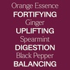 image:imagePlant Therapy Motion Sickness Essential Oil Blend PreDiluted RollOn 10 mL 13 oz Helps Ease MotionRelated Discomfort Great for Road Trips amp Flights Convenient amp Ready to Use