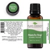 image:imagePlant Therapy Munchy Stop Essential Oil Blend 30 mL 1 oz 100 Pure Undiluted Therapeutic Grade