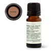 image:imagePlant Therapy Nutmeg Essential Oil 10 mL13 oz 100 Pure Undiluted Stimulating Aromatherapy for Digestive Relief and Joint Pain