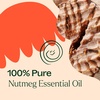 image:imagePlant Therapy Nutmeg Essential Oil 10 mL13 oz 100 Pure Undiluted Stimulating Aromatherapy for Digestive Relief and Joint Pain