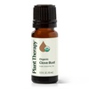 image:imagePlant Therapy Organic Clove Bud Essential Oil 10 mL 13 oz amp Cinnamon Bark Essential Oil 10 mL 13 oz 100 Pure Undiluted Cinnamon Oil for Diffuser Spray Candle Making Spicy Sweet Scent
