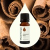 image:imagePlant Therapy Organic Clove Bud Essential Oil 10 mL 13 oz amp Cinnamon Bark Essential Oil 10 mL 13 oz 100 Pure Undiluted Cinnamon Oil for Diffuser Spray Candle Making Spicy Sweet Scent