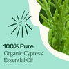 image:imagePlant Therapy Organic Cypress Essential Oil 30 mL 1 oz 100 Pure Undiluted Therapeutic Grade