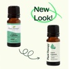 image:imagePlant Therapy Organic Cypress Essential Oil 30 mL 1 oz 100 Pure Undiluted Therapeutic Grade