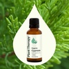 image:imagePlant Therapy Organic Cypress Essential Oil 30 mL 1 oz 100 Pure Undiluted Therapeutic Grade