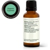 image:imagePlant Therapy Organic Cypress Essential Oil 30 mL 1 oz 100 Pure Undiluted Therapeutic Grade