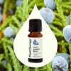 image:imagePlant Therapy Organic Juniper Berry Essential Oil 10 mL 13 oz