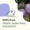 image:imagePlant Therapy Organic Juniper Berry Essential Oil 10 mL 13 oz