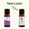 image:imagePlant Therapy Organic Lavender Fine Essential Oil 10 mL 13 oz 100 Pure Undiluted USDA Certified Organic Soothing Aromatherapy for Better Sleep and Relaxation
