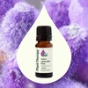 image:imagePlant Therapy Organic Lavender Fine Essential Oil 10 mL 13 oz 100 Pure Undiluted USDA Certified Organic Soothing Aromatherapy for Better Sleep and Relaxation