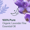 image:imagePlant Therapy Organic Lavender Fine Essential Oil 30 mL 1 oz 100 Pure Undiluted USDA Certified Organic Soothing Aromatherapy for Better Sleep and Relaxation