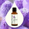 image:imagePlant Therapy Organic Lavender Fine Essential Oil 30 mL 1 oz 100 Pure Undiluted USDA Certified Organic Soothing Aromatherapy for Better Sleep and Relaxation