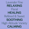image:imagePlant Therapy Organic Lavender Fine Essential Oil 30 mL 1 oz 100 Pure Undiluted USDA Certified Organic Soothing Aromatherapy for Better Sleep and Relaxation