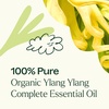 image:imagePlant Therapy Organic Ylang Ylang Complete Essential Oil 30 mL 1 oz 100 Pure USDA Certified Organic Undiluted Sensual Aromatherapy and Natural Skin Care