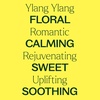 image:imagePlant Therapy Organic Ylang Ylang Complete Essential Oil 30 mL 1 oz 100 Pure USDA Certified Organic Undiluted Sensual Aromatherapy and Natural Skin Care