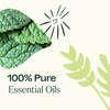 image:imagePlant Therapy Pain Support Essential Oil Blend Set 10 mL 13 oz Each of Ache Away Rapid Relief amp Tension Relief Pure Undiluted Essential Oil Blends