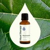 image:imagePlant Therapy Ravintsara Essential Oil 30 mL 1 oz 100 Pure Undiluted Stimulating Aromatherapy for Respiratory Support and Joint Ache Relief