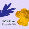 image:imagePlant Therapy Relaxation Essential Oil Blend Set 100 Pure Undiluted Calming Aromatherapy Stress Relief Restful Sleep