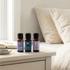 image:imagePlant Therapy Relaxation Essential Oil Blend Set 100 Pure Undiluted Calming Aromatherapy Stress Relief Restful Sleep