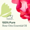 image:imagePlant Therapy Rose Otto Essential Oil 5 mL 16 oz 100 Pure Undiluted Aromatherapy Skin Care Relaxing Romantic Aroma
