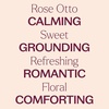 image:imagePlant Therapy Rose Otto Essential Oil 5 mL 16 oz 100 Pure Undiluted Aromatherapy Skin Care Relaxing Romantic Aroma