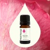 image:imagePlant Therapy Rose Otto Essential Oil 5 mL 16 oz 100 Pure Undiluted Aromatherapy Skin Care Relaxing Romantic Aroma