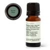 image:imagePlant Therapy Scots Pine Essential Oil 10 mL 13 oz Pure Undiluted