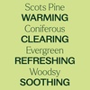 image:imagePlant Therapy Scots Pine Essential Oil 10 mL 13 oz Pure Undiluted
