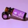 image:imagePlant Therapy Self Esteem Essential Oil Blend 10 mL 13 oz 100 Pure Undiluted Calming Aromatherapy for Confidence and Emotional Support