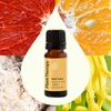 image:imagePlant Therapy SelfCare Essential Oil Blend 10 mL 13 oz Bright and Spicy Herbaceous and Citrus Aroma with Floral Notes