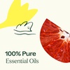 image:imagePlant Therapy SelfCare Essential Oil Blend 10 mL 13 oz Bright and Spicy Herbaceous and Citrus Aroma with Floral Notes