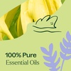 image:imagePlant Therapy Sleep Aid Essential Oil Blend 10 mL 13 oz 100 Pure Undiluted Relaxing Aromatherapy for Better Sleep