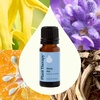 image:imagePlant Therapy Sleep Aid Essential Oil Blend 10 mL 13 oz 100 Pure Undiluted Relaxing Aromatherapy for Better Sleep