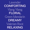image:imagePlant Therapy Sleep Aid Essential Oil Blend 10 mL 13 oz 100 Pure Undiluted Relaxing Aromatherapy for Better Sleep