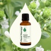 image:imagePlant Therapy Sweet Marjoram Essential Oil 30 mL 1 oz