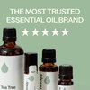 image:imagePlant Therapy Tea Tree Essential Oil 100 mL 33 oz Melaleuca alternifolia