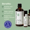 image:imagePlant Therapy Tea Tree Essential Oil 100 mL 33 oz Melaleuca alternifolia