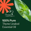image:imagePlant Therapy Thyme Linalool Essential Oil 100 Pure Undiluted Therapeutic Grade 30 ml 1 oz