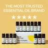 image:imagePlant Therapy Top 14 Essential Oil Set 10 mL 13 oz